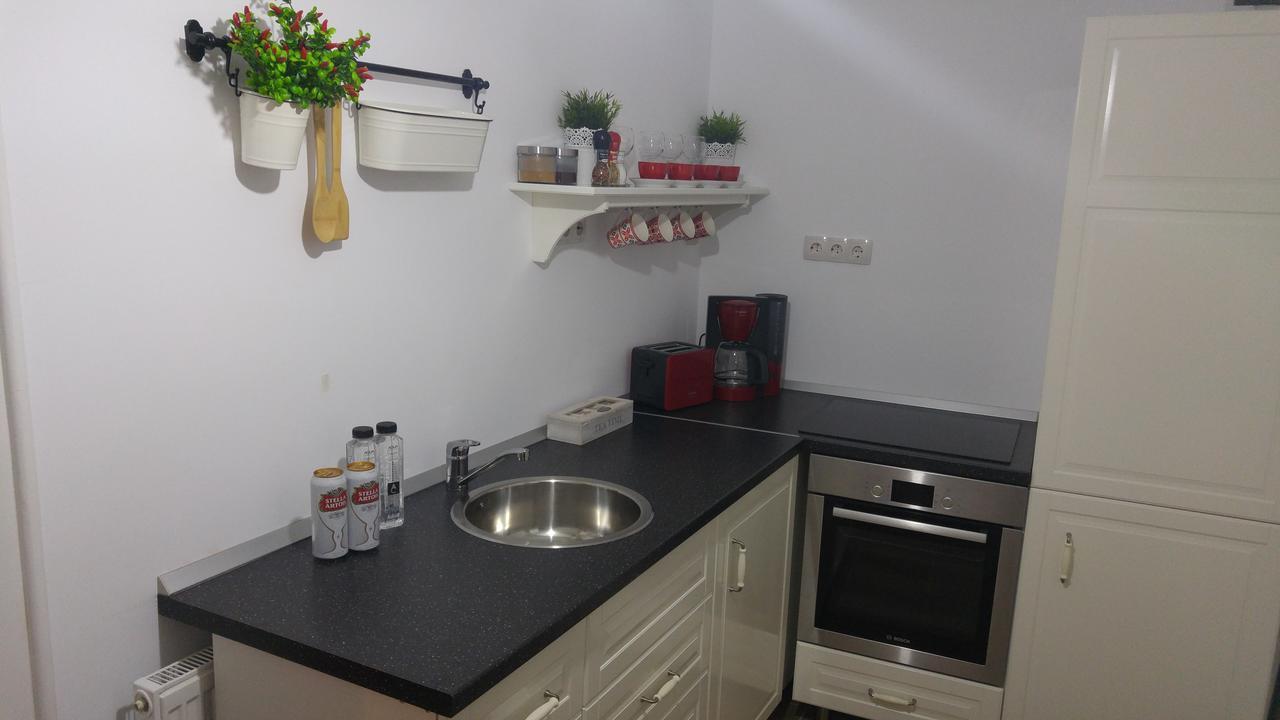 Apartment Bianco Central Сибиу Экстерьер фото